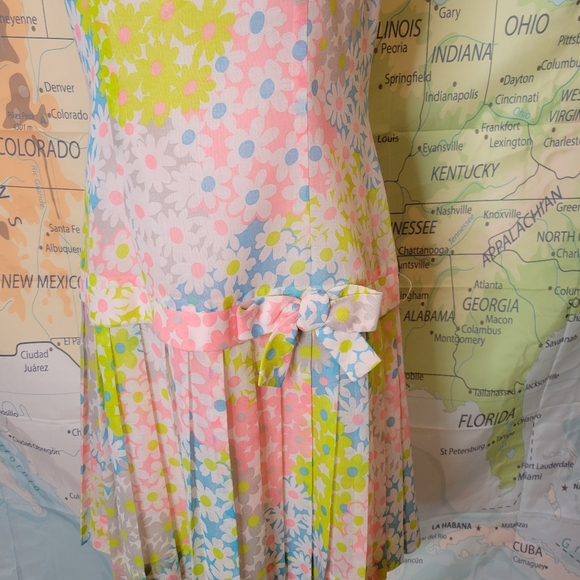 Vintage 1960s Eve Carter Floral Sleeveless Dress with Pleated Skirt - Picture 3 of 16